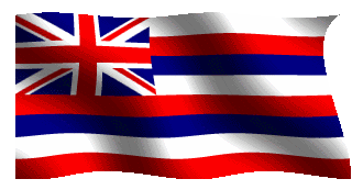 hawaiiflag